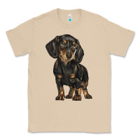 Mushroom dachshund Classic Tee - BarkalooDesign
