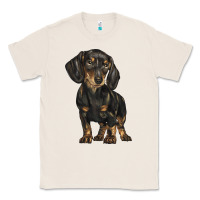 Natural dachshund Classic Tee - BarkalooDesign