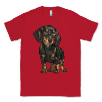 Red dachshund Classic Tee - BarkalooDesign