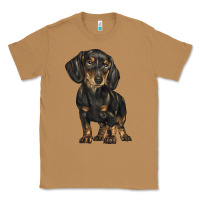 Toasted Coconut dachshund Classic Tee - BarkalooDesign