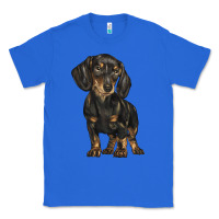 True Royal dachshund Classic Tee - BarkalooDesign