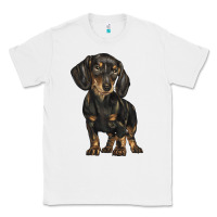 White dachshund Classic Tee - BarkalooDesign