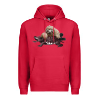 Cardinal Speed is Relative Premium Hoodie - Bettercallsaul