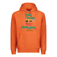 Carrot Family Vacation 2020 Read Or Not Virginia Beach Here We Come Premium Hoodie - Bettercallsaul