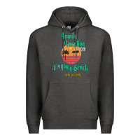 Charcoal Heather Family Vacation 2020 Read Or Not Virginia Beach Here We Come Premium Hoodie - Bettercallsaul