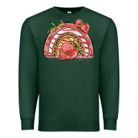 Sports Green strawberry rainbow Premium Sweatshirt - BarkalooDesign