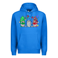 True Royal autism gnome Premium Hoodie - JahusDesignShop