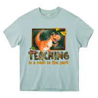 Arona teaching is a walk in the park Heavy Core Tee - texasbilliewilder