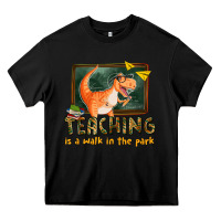 Black teaching is a walk in the park Heavy Core Tee - texasbilliewilder