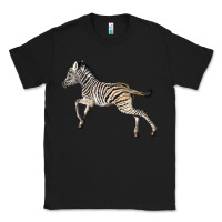 Black Baby Zebra Classic Tee - LillyAllenDesigns