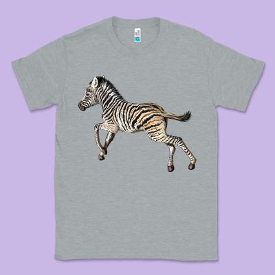 Baby Zebra Classic Tee Designed By Lillyallendesigns