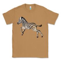 Toasted Coconut Baby Zebra Classic Tee - LillyAllenDesigns