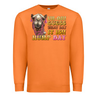 Carrot guess what day it is hump day camel Premium Sweatshirt - BarkalooDesign
