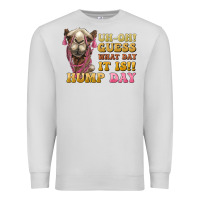 Dove Grey guess what day it is hump day camel Premium Sweatshirt - BarkalooDesign