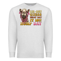 Oatmeal Heather guess what day it is hump day camel Premium Sweatshirt - BarkalooDesign