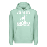 Seafoam rescue dog Premium Hoodie - Bettercallsaul