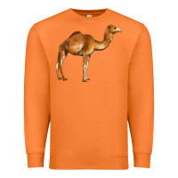 Carrot camel Premium Sweatshirt - BarkalooDesign