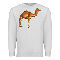 Dove Grey camel Premium Sweatshirt - BarkalooDesign
