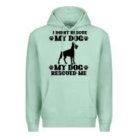 Seafoam rescue dog Premium Hoodie - Bettercallsaul
