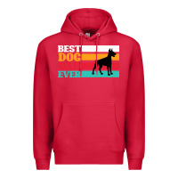 Cardinal Best Dog Dad Ever Premium Hoodie - Bettercallsaul