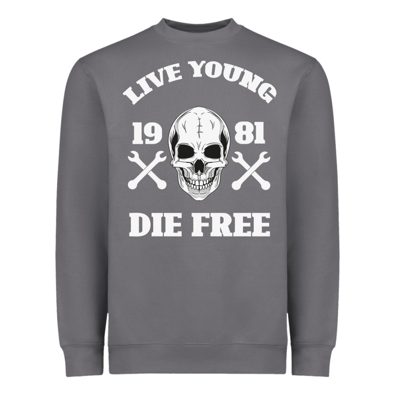 Live Young Die Free Heavyweight Sweatshirt by Bettercallsaul | Teevron