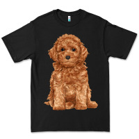Black toy poodle Premium Tee - RanaPortraitStore