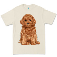 Bone toy poodle Premium Tee - RanaPortraitStore
