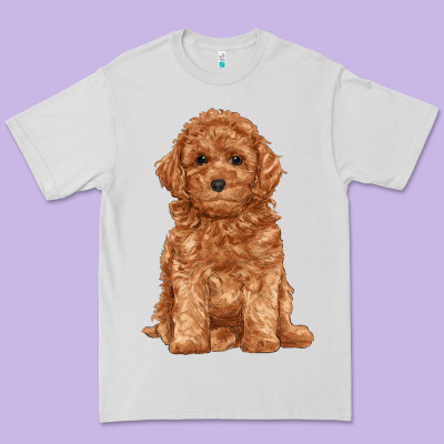 Toy Poodle Premium Tee Designed By Ranaportraitstore