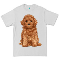 Dove Grey toy poodle Premium Tee - RanaPortraitStore