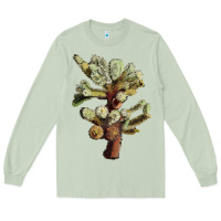 Matcha cholla tree cactus Long Sleeve Tee - LillyAllenDesigns