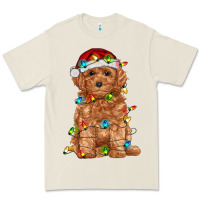 Bone toy poodle with christmas lights Premium Tee - RanaPortraitStore