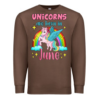 Chestnut unicorns are born in june Premium Sweatshirt - Jasminsmagicworld