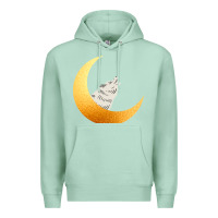 Seafoam Howling Wolf Premium Hoodie - Bettercallsaul