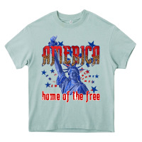 Arona America home of the free Heavy Core Tee - texasbilliewilder