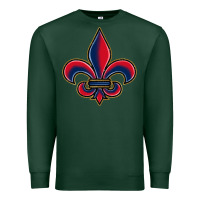 Sports Green louisiana fleur de lis Premium Sweatshirt - BarkalooDesign