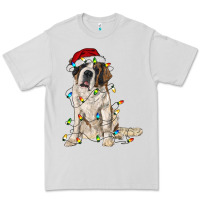 Dove Grey saint bernard with christmas lights Premium Tee - RanaPortraitStore