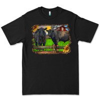 Black black angus cattle and bull in barnyard Premium Tee - RanaPortraitStore