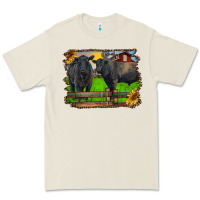 Black Angus Cattle And Bull In Barnyard Premium Tee | Teevron
