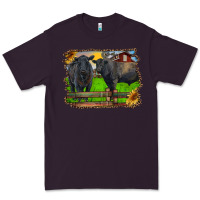 Plum black angus cattle and bull in barnyard Premium Tee - RanaPortraitStore