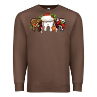 Chestnut Christmas teeth dentist Premium Sweatshirt - Jasminsmagicworld