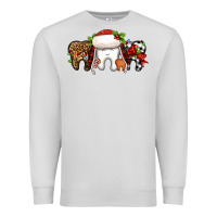 Dove Grey Christmas teeth dentist Premium Sweatshirt - Jasminsmagicworld