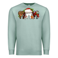 Seafoam Christmas teeth dentist Premium Sweatshirt - Jasminsmagicworld