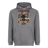 Storm i survived 100 days it's fine i'm fine Heavyweight Hoodie - Artiststas