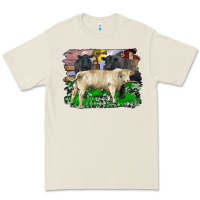 Bone charolais bull black angus cattle and bull with barnyard and cowhide Premium Tee - RanaPortraitStore