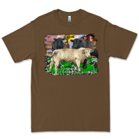 Charolais Bull Black Angus Cattle And Bull With Barnyard And Cowhide Premium Tee | Teevron