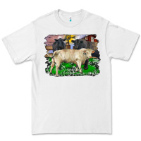 White charolais bull black angus cattle and bull with barnyard and cowhide Premium Tee - RanaPortraitStore