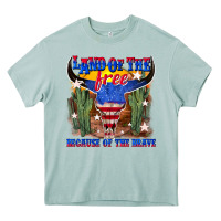 Arona land of the free because of the brave Heavy Core Tee - texasbilliewilder