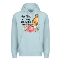 Blue Mist Are you kitten me right meow Premium Hoodie - Bettercallsaul