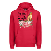 Cardinal Are you kitten me right meow Premium Hoodie - Bettercallsaul