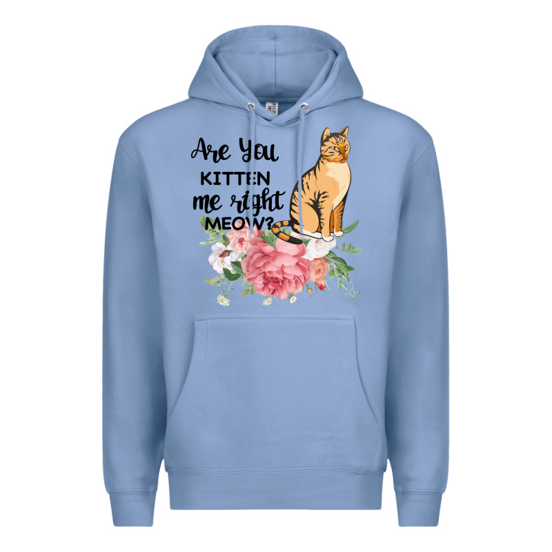 Are You Kitten Me Right Meow Premium Hoodie by Bettercallsaul | Teevron